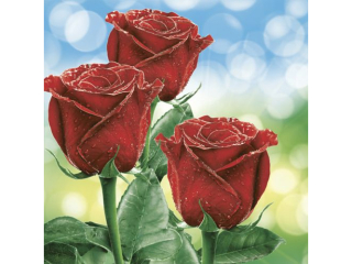 Serwetki POL-MAK Daisy Lunch 33cm 20szt. Three Classic Red Roses SDOG027701 [opakowanie=24szt]