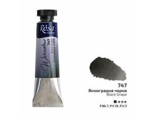 ROSA GALLERY FARBA AKWARELOWA BLACK GRAPE 747 10 ML TUBA [opakowanie=4szt]