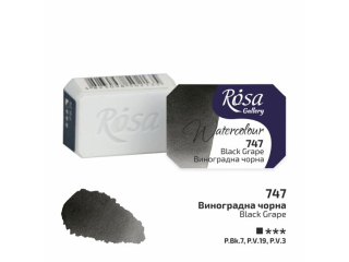 ROSA GALLERY FARBA AKWARELOWA BLACK GRAPE 747 2, 5 ML