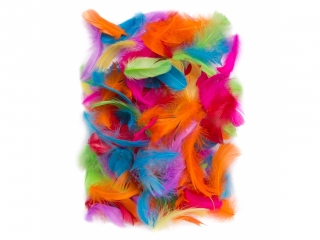 PIRKA  5-12 CM, 10 G BRIGHTS [opakowanie=6szt]