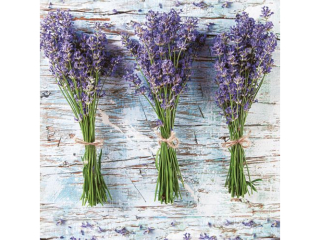 Serwetki POL-MAK Daisy Lunch 33cm 20szt. Three Bunches of Lavender SDOG015101 [opakowanie=24szt]