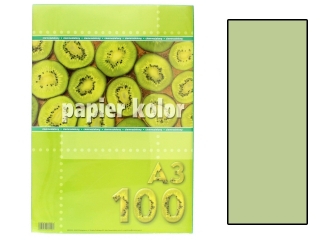 Papier (jk) A3-100 j.zielony