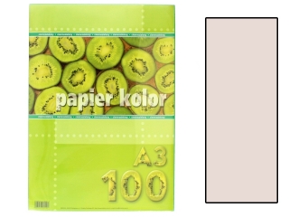 Papier (jk) A3-100 waniliowy