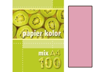 Papier (jk) A4-100 j.różowy