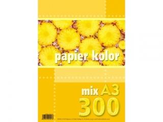 Papier mix A3-300 kolorowy