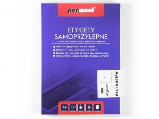 ETYKIETY SAMOPRZYLEPNE A4 1 x 210 x 297 100 ARKUSZY