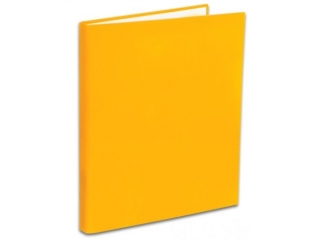 PENMATE SEGREGATOR TT-40 A4/2 WASKI 2 CM KOLOR POMARAŃCZOWY