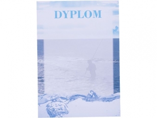 Dyplom D66 A4-20
