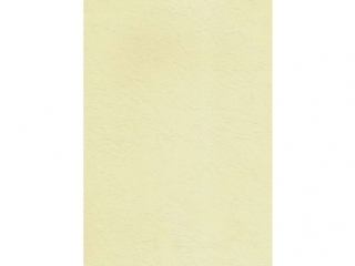 Karton W45 A4-100 ark. wizytówkowy