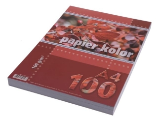Papier (jk) A4-100 popielaty 160g