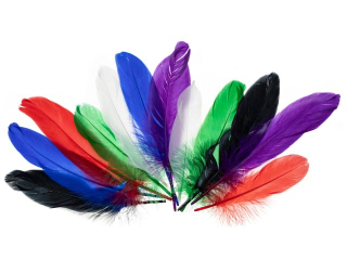 Pirkagsie  rozmiar: 15 - 20cm ilo: 12 szt kolor: mix jaskrawy