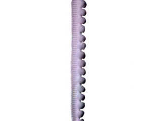 Pompony 6mm na tamie 1, 7m biae