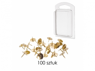 PINEZKA ZOTA A100SZT, STANDARD [opakowanie=36szt]