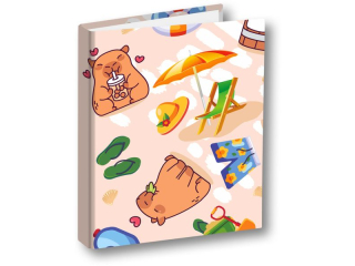 PENMATE SEGREGATOR A5/2 T 0119 KAPIBARA PLAŻA FOLIA MAT NIERYSUJĄCA