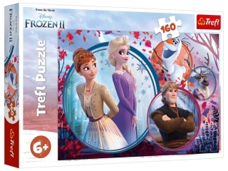 Puzzle "160 - Siostrzana przygoda" / Disney Frozen 2 15374