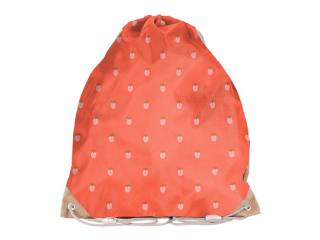 Worek na buty PASO BeUniq LADYBUG BU26PA-712 37x34