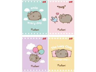 Zeszyt A5 32 kartki linia dwukolorowa okładka laminowana 70 g/m2 PUSHEEN [opakowanie=15szt]