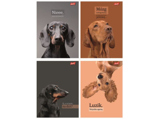 Zeszyt A5 60 kartek krata ok�adka laminowana lakier miejscowy UV 70 g/m2 DOGGY MOODS [opakowanie=10szt]