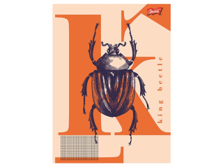 Zeszyt A5 60 kartek krata ok�adka laminowana lakier miejscowy UV 70 g/m2 VINTAGE WINGS [opakowanie=10szt]