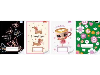 ZESZYT A5/32k. Kratka / NO NAME - DZIEWCZYNKA [opakowanie=10szt]