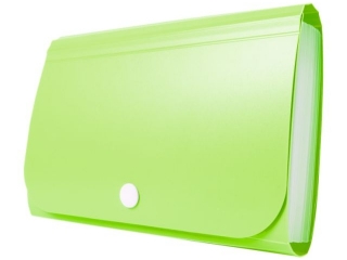 MINI ORGANIZER HARMONIJKOWY PP BT613-Z