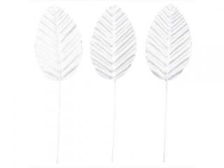 Licie A`10 Biae Sy-005