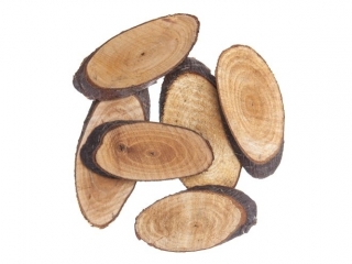 PLASTRY DREWNA OWAL, 6 SZT. Fi-5-8 CM [opakowanie=6szt]