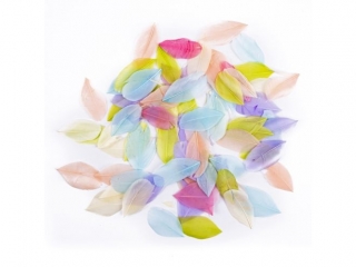 PIRA GSIE 6 CM, 5 G, PASTEL [opakowanie=6szt]