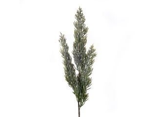 GAZKA TUI 40 CM [opakowanie=3szt]