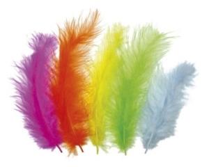 Pirka dekoracyjne puch 11, 8-15cm 25szt. jaskrawe: te, pomaraczowe, niebieskie, rowe TITWLK