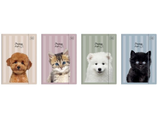 Teczka z gumk� A4+ UV Puppy Sign [opakowanie=10szt]