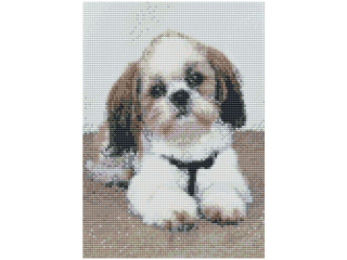 MOZAIKA DIAMENTOWA 30x40 cm, PIONOWA, WZ�R: SHIH TZU FLAMINGO LINE