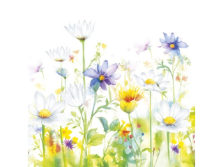 Serwetki POL-MAK Daisy coctail 25cm 20szt. - Beautifull Flower Meadow CDOG040201 [opakowanie=12szt]