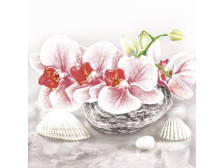 Serwetki POL-MAK Daisy Lunch 33cm 20szt. Orchid on Oriental Stone with Shells SDOG039401 [opakowanie=24szt]