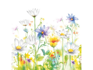 Serwetki POL-MAK Daisy Lunch 33cm 20szt. Beautifull Flower Meadow SDOG040201 [opakowanie=24szt]