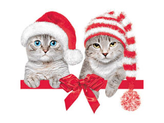 Serwetki POL-MAK GWIAZDKA Maki Lunch 33cm 20szt. Lovely Cats in Christmas Hats SLGW026201 [opakowanie=12szt]