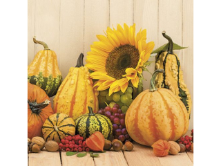 Serwetki POL-MAK Maki Lunch 33cm 20szt. Autumn Pumpkins SLOG054001 [opakowanie=12szt]