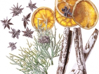 NATURALNE ELEMENTY 19 SZT., CYNAMON, ANY, POMARACZA [opakowanie=6szt]
