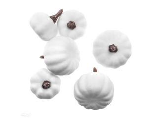 MINI DYNIE MIX, 6 SZT., BIAE [opakowanie=6szt]