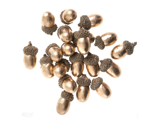 ODZIE ZOCONE 20 SZT. [opakowanie=6szt]