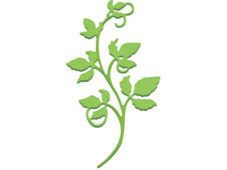 WYKROJNIK - GA��ZKA WINORO�LI [opakowanie=6szt]