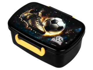 �NIADANI�WKA A PI�KA 21