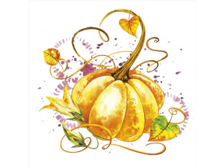 Serwetki POL-MAK Daisy Lunch 33cm 20szt. Mature Pumpkin SD_OG_041901 [opakowanie=24szt]