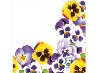 Serwetki POL-MAK Daisy Lunch 33cm 20szt. Pansies Frame SD_WI_009601 [opakowanie=24szt]